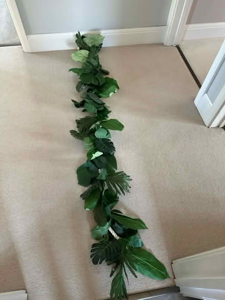 Photo of free 2m long jungle leaf Garland (Ingatestone CM4) #1