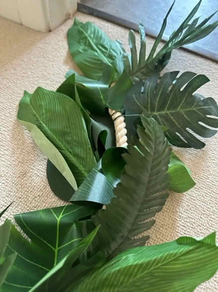 Photo of free 2m long jungle leaf Garland (Ingatestone CM4) #2