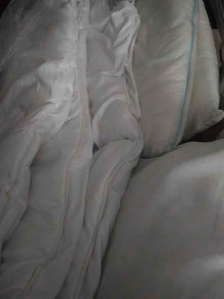 Photo of free Double duvet and two pillows (Dublin central) #3