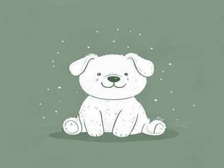 Photo of Soft toys/dog toys (Whitemoor NG8) #1