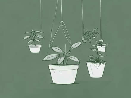 Photo of Plant pots indoor + outdoor and hanging plant pot (St Margarets TW1) #1