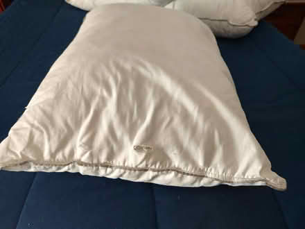 Photo of free Fluff Co pillows (Near Fairview & 55th St, DG) #2