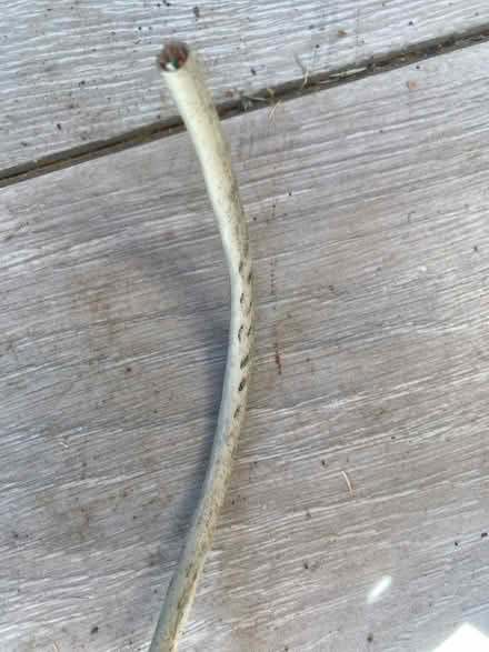 Photo of free Electric cable for intercom or speakers (Maiden Erlegh Nature Reserve RG6) #2