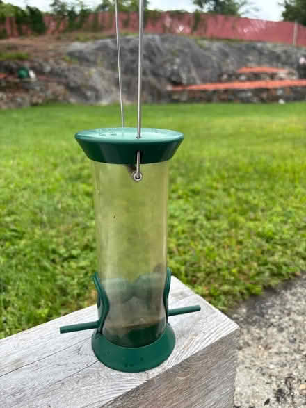 Photo of free bird bath and bird feeders (Very close to YMCA - Woburn) #3