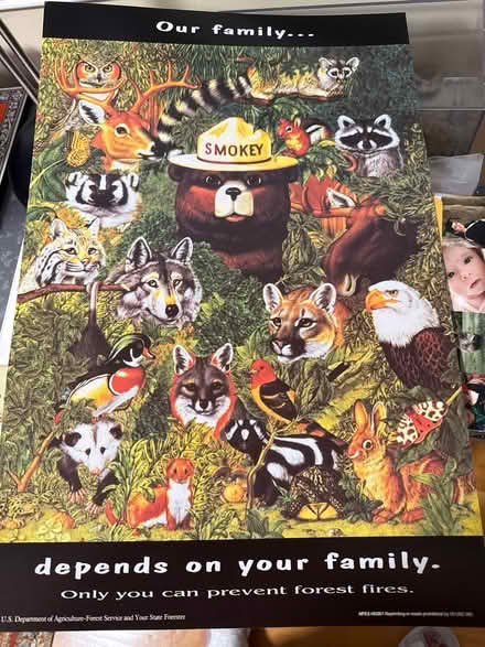 Photo of free Smokey the Bear Poster (Winchester on Arlington line) #1