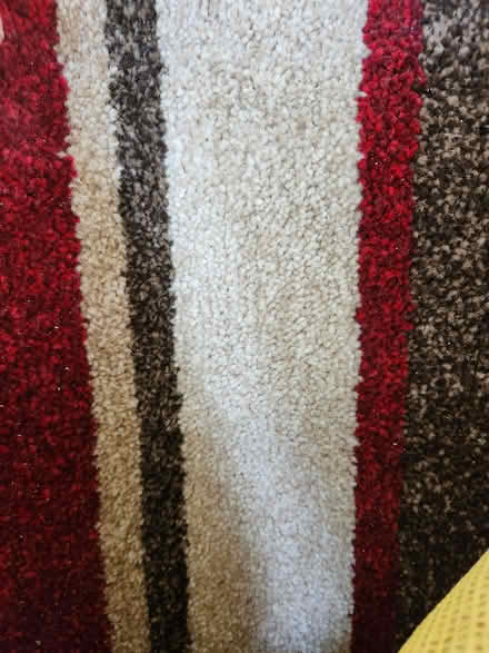 Photo of free Carpet from bedroom (Halton LA2) #1