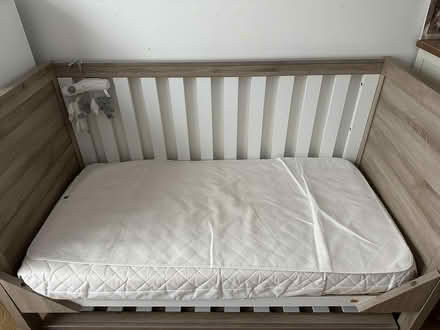 Photo of free Cot Bed Up To 6 Yrs Old (Well Street E9) #2