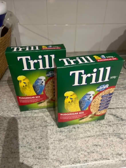 Photo of free Trill Budgie Seed (Harpenden AL5) #1