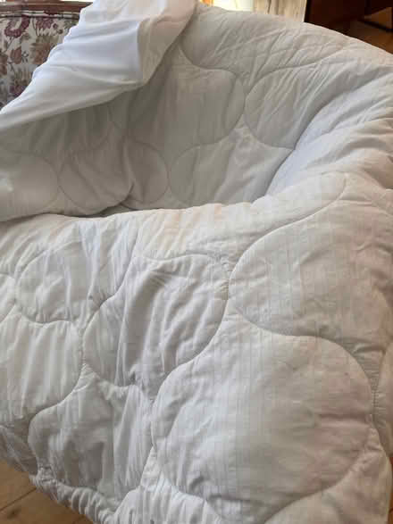 Photo of free Full size mattress cover (Severna Park) #1
