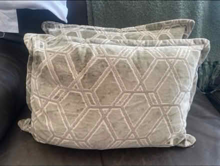 Photo of free Heavy Sofa / Arm Chair Cushions x 2 (Cheshunt En8) #1