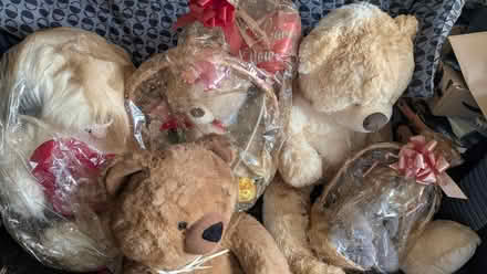 Photo of free Loads Of Different Sized Teddies And Soft Toys (Holmewood BD4) #1