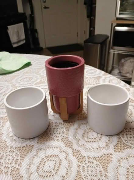 Photo of free Multiple starting planter pots (Charlottesville, Near Pen Park) #4