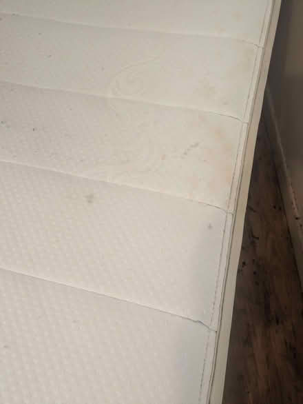 Photo of free Single trundle bed (Maesycwmmer CF82) #2