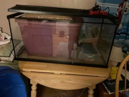 Photo of free Tank and stuff for a dragon (Billerica mass) #2