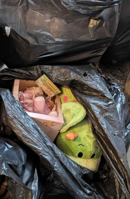 Photo of free Loads Of Different Sized Teddies And Soft Toys (Holmewood BD4) #4