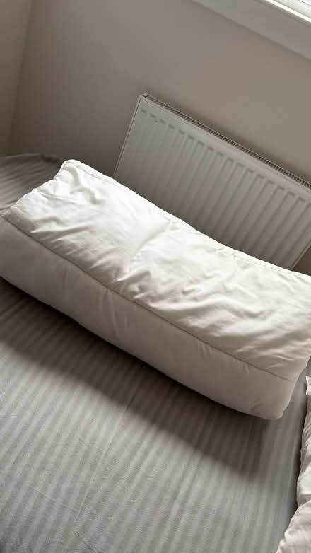 Photo of free İKEA double duvet (12 TOG) and two pillows (Kings Buildings EH9) #1
