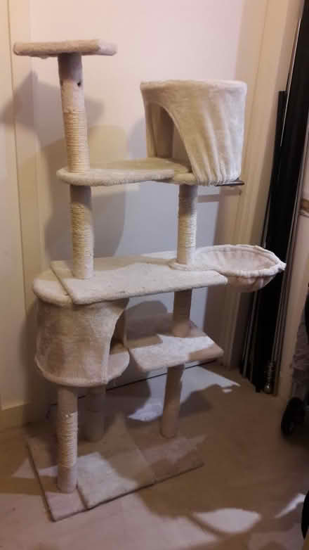 Photo of free cat tree and electric litter tray (Camden N1) #1