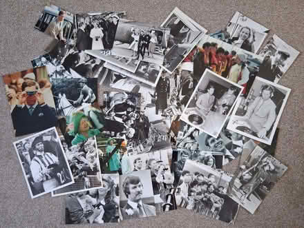 Photo of free Photos royal family (Portchester PO16) #1