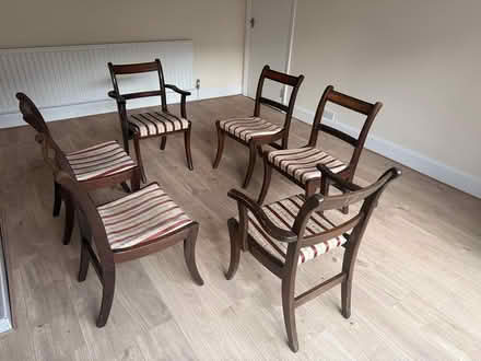 Photo of free Set of 6 dining chairs (Blackheath SE3) #2