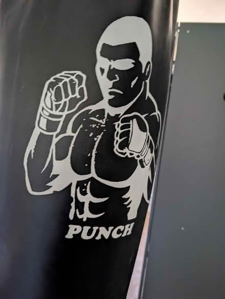 Photo of free Punching bag (yapton) #2