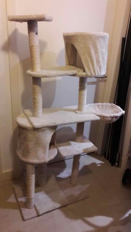 Photo of free cat tree and electric litter tray (Camden N1) #3