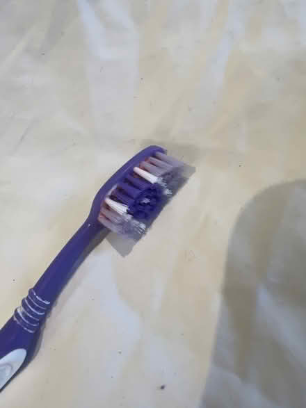 Photo of free 2 Colgate Toothbrushes. Never Used (Southsea PO4) #3