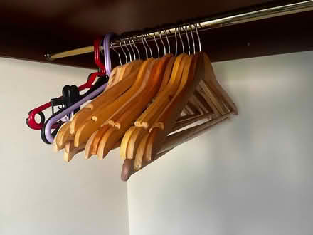 Photo of free 20ish clothes hangers (Littlemore OX4 4) #2