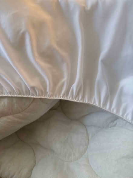Photo of free Full size mattress cover (Severna Park) #2