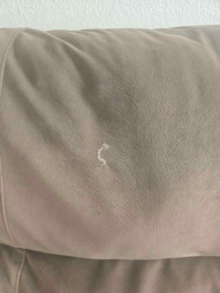 Photo of free 7'9" Pull-Out Sofa Bed (Englewood) #3