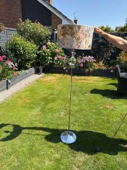 Photo of free Standard lamp (Waterlooville PO8) #1