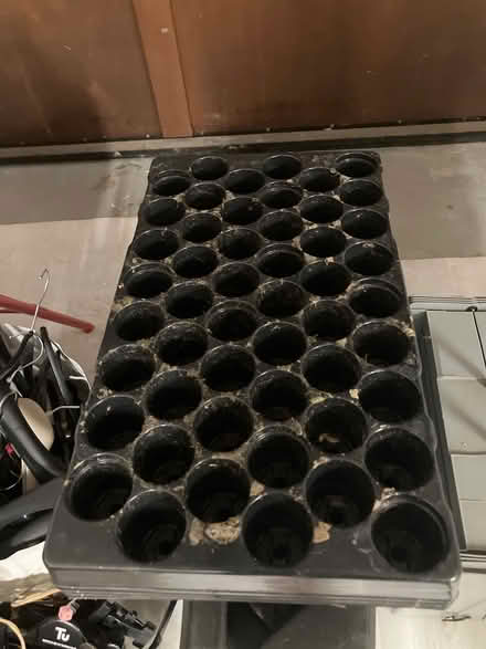 Photo of free Six seed trays (Beaconsfield HP9) #1