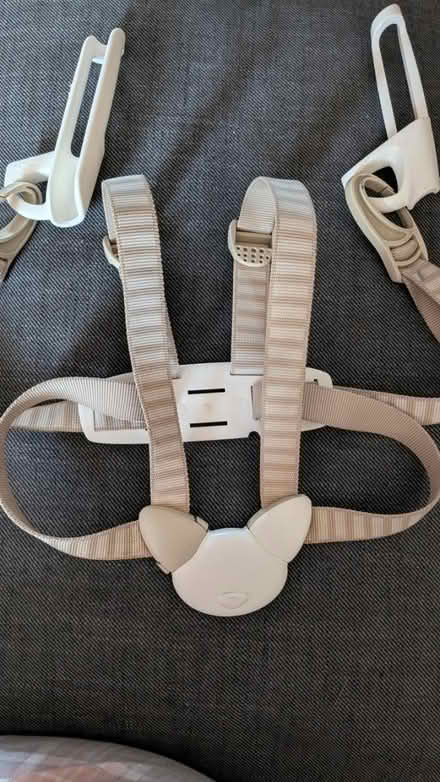 Photo of free Stoke Tripp Trapp highchair harness (Broxbourne EN10) #1