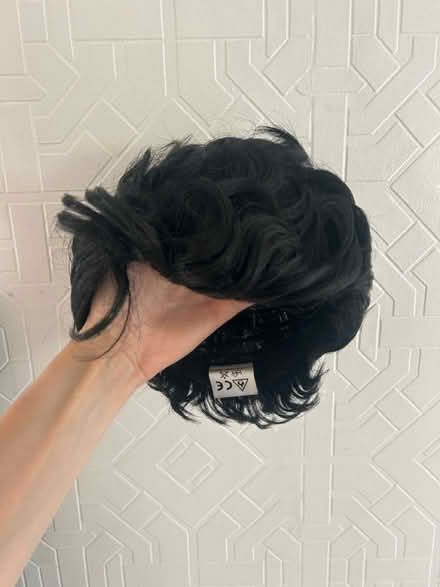 Photo of free Men’s black costume wig (S2 Manor Park) #2