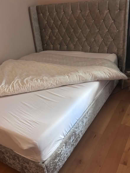 Photo of free Double Bed Silver Brushed Velvet (Langley Park DH7) #4