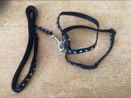 Photo of free Cat/ Small Dog Harness & Lead (Cheshunt En8) #2