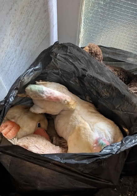 Photo of free Loads Of Different Sized Teddies And Soft Toys (Holmewood BD4) #3