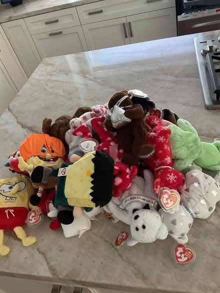 Photo of free Beanie Babies (By Raleys Supermarket) #2