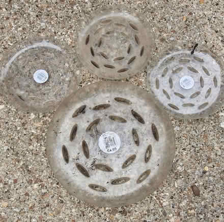 Photo of free Garden plastic saucer x4 (Countesthorpe LE8) #1