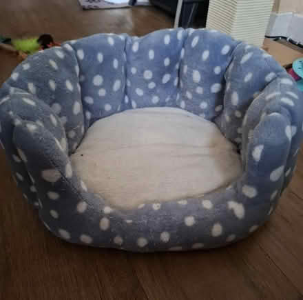 Photo of free small cat bed (Cleehill SY8) #1