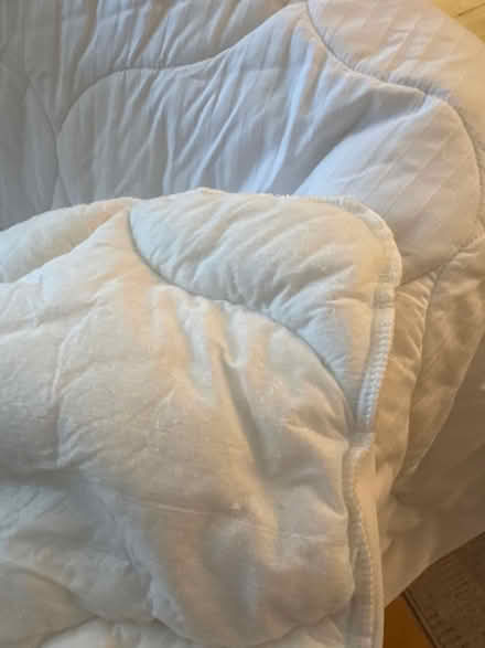 Photo of free Full size mattress cover (Severna Park) #3