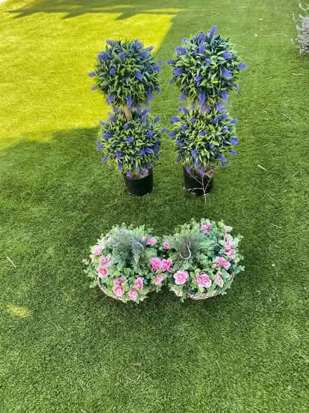 Photo of free Topiary trees and hanging baskets (Stubbington) #1
