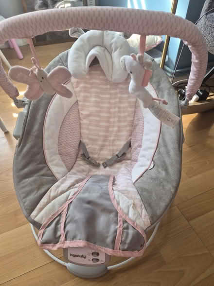 Photo of free Baby bouncer (LE77AD) #1
