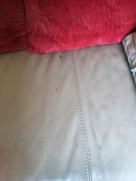 Photo of free Three seat sofa (Corby NN17) #3