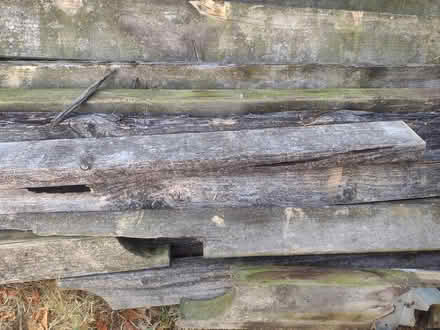 Photo of free Various lengths solid wood (Sherwood NG5) #1