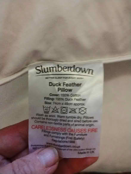 Photo of free 3 feather pillows (Bonnington road, EH6) #1