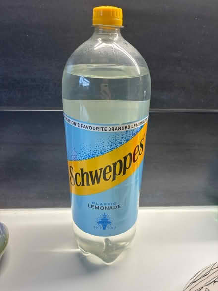 Photo of free 2 litre bottle of lemonade (Highbury N5) #1