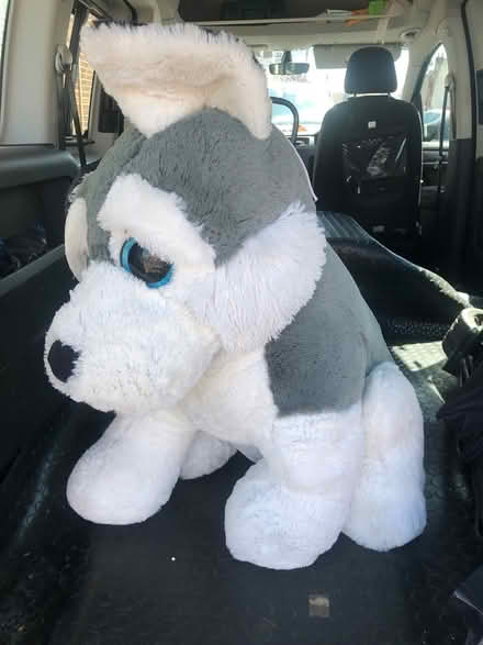 Photo of free Large soft toy (Alverstoke PO12) #1
