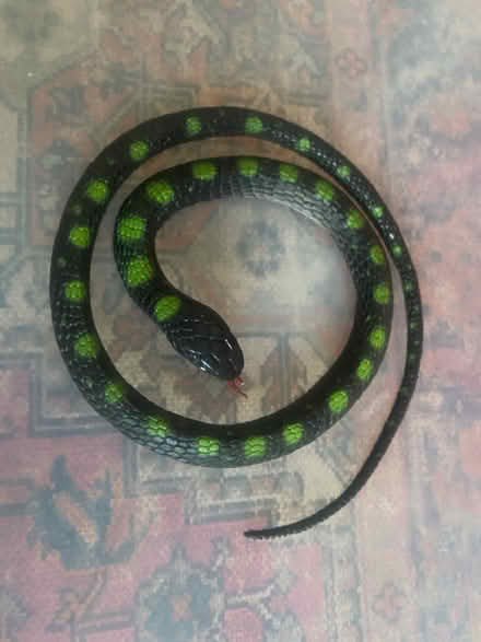 Photo of free Selection of dinosaurs and a snake (Perdiswell WR3) #3