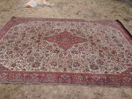 Photo of free Rug (Hertford SG13) #1