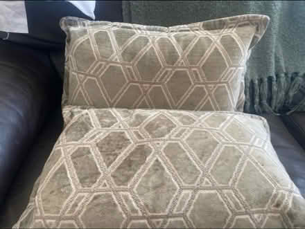 Photo of free Heavy Sofa / Arm Chair Cushions x 2 (Cheshunt En8) #2